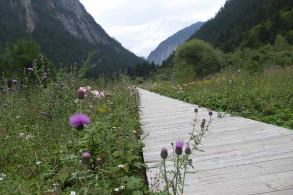 Boardwalk through the Meadow at Jiuzhaigou National Park