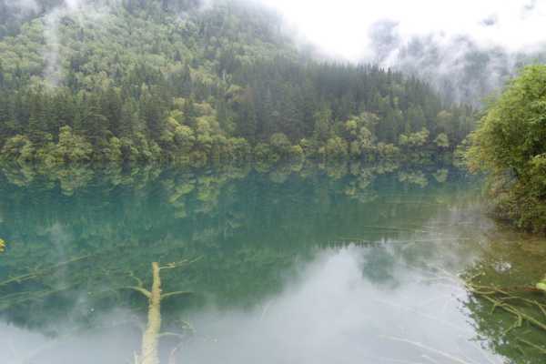 Clear Water at Jiuzhaigou National Park