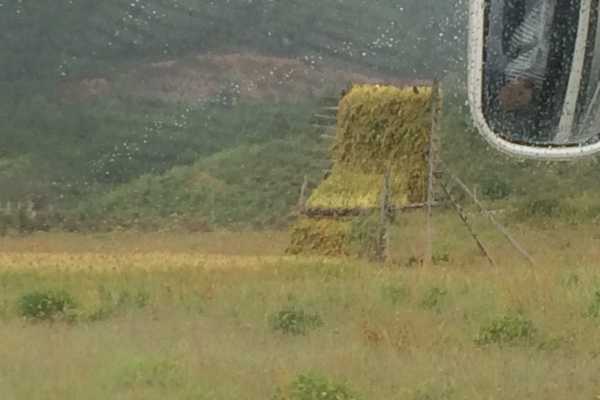 Grass Drying Stacks on the road to Shangri La