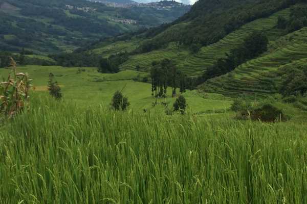 Valley View at Yuanyang Rice Fields