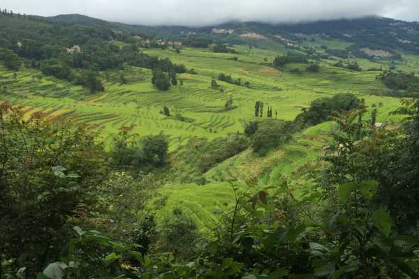 Yuanyang Rice Fields