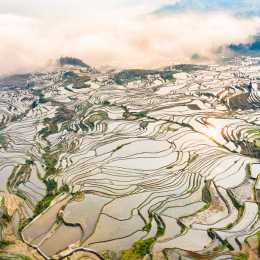 Yuanyang Rice Terraces