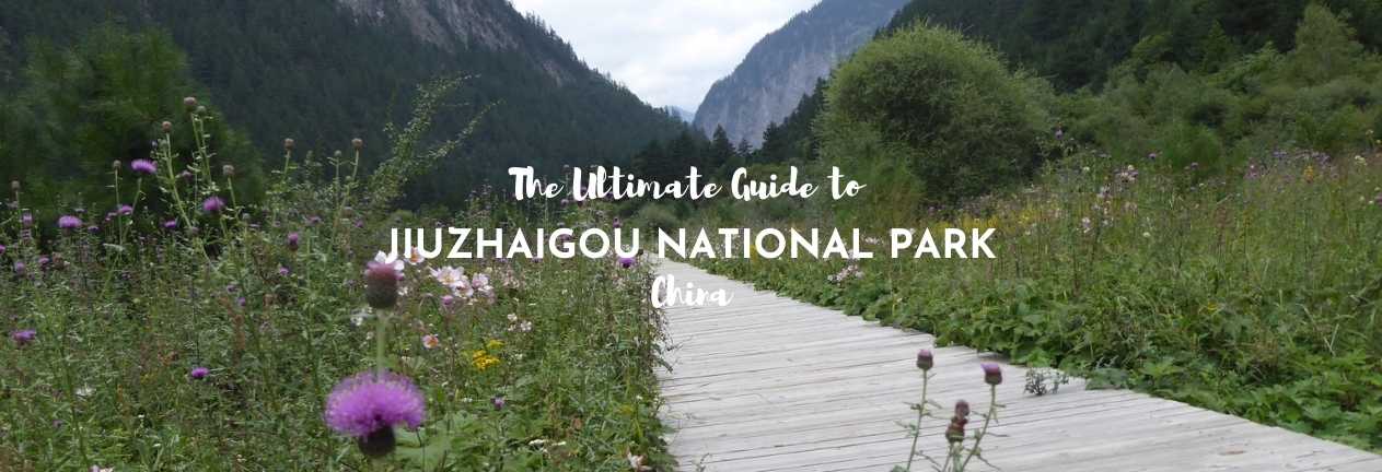 ultimate guide to jiuzhaigou national park