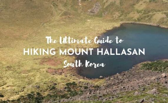 ultimate guide to hiking mount hallasan