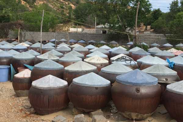 things to do in mui fish sauce factory