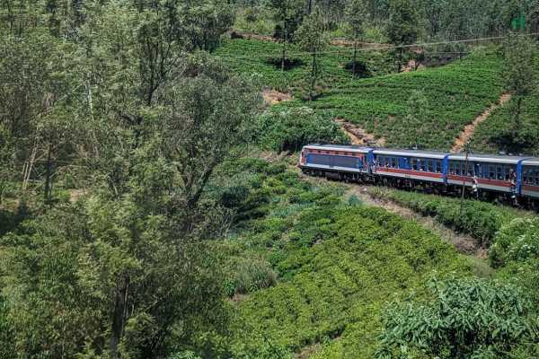 Nuwara Eliya Ella Train