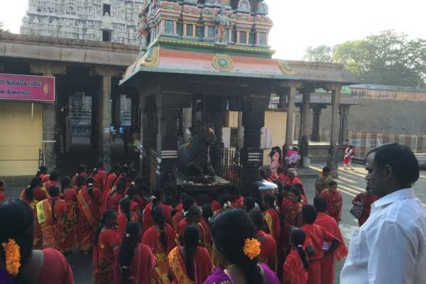 Pilgrims and Nandi Bull at Tiruvannamalai