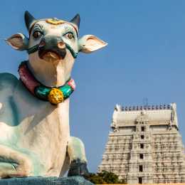 Tiruvannamalai