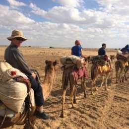 Camel  train Thar Desert