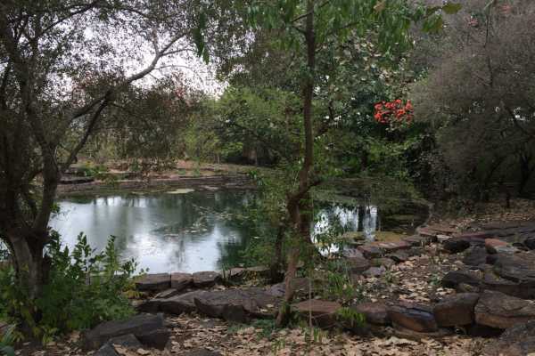 Pool at Sanchi