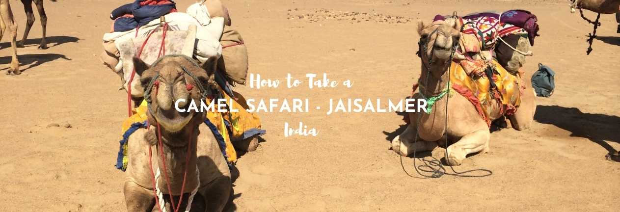 how to take a camel safari jaisalmer