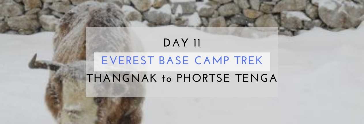 Everest base camp trek Thangnak to Phortse Tenga