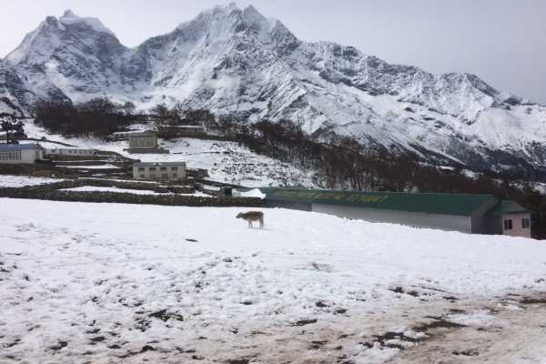 Phortse Village entrance