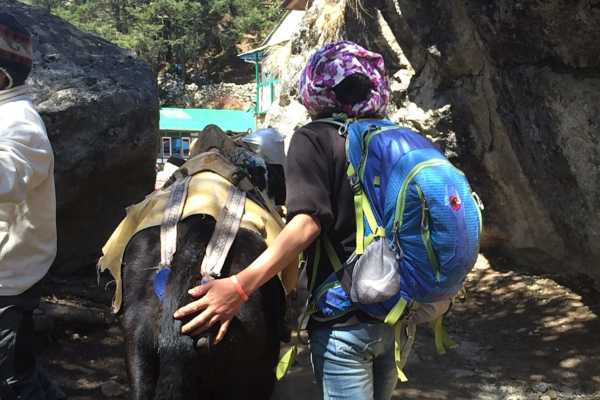 Traffic jams enroute from Deboche to Monjo