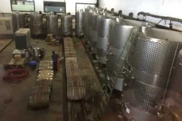 York Winery India
