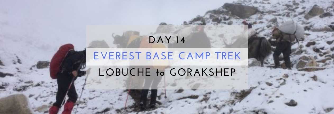 everest base camp trek lobuche to gorakshep