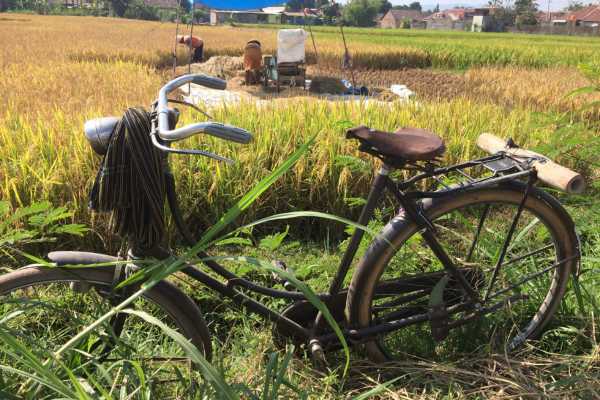 Bike in rice field in Yogyakarta
