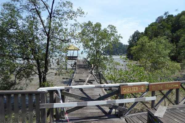 boardwalk hiking trails at bako national park