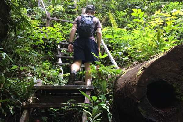 hiking trails at Bako National Park