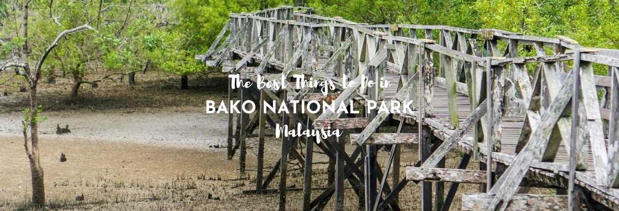 the best things to do in bako national park