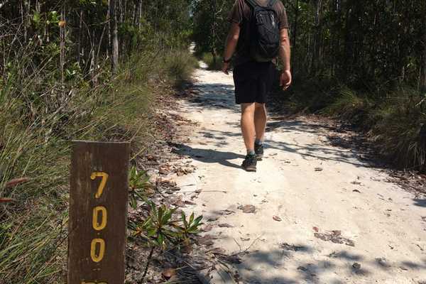 visit Bako National Park lintang hiking trail loop