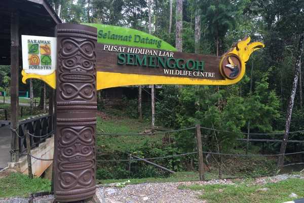 visit Semenggoh arriving at Semenggoh