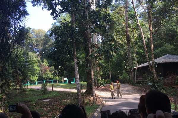 visit Semenggoh briefing for morning feeding session
