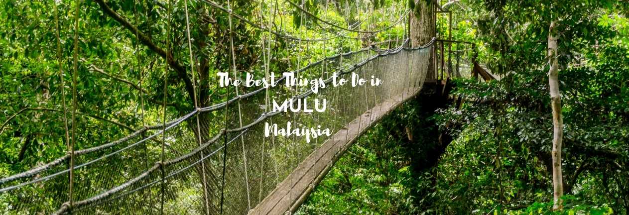 what to do in mulu national park