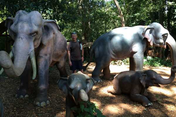 Bolaven Plateau Tad Phousam Elephants