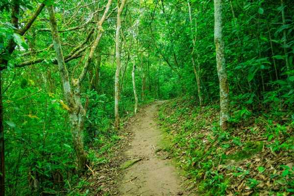 Things to do in Sukhothai - ramkhamhaeng national park