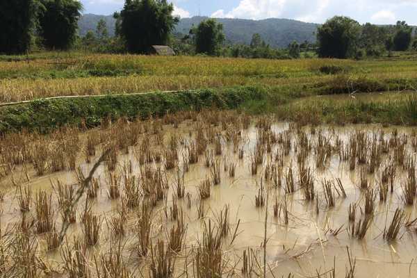 Visit the Plain of Jars Laos jar site 3 (2)