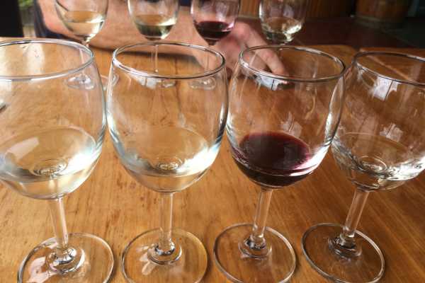 Wine tasting at Red Mountain Winery Myanmar