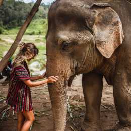 Elephant Sanctuary
