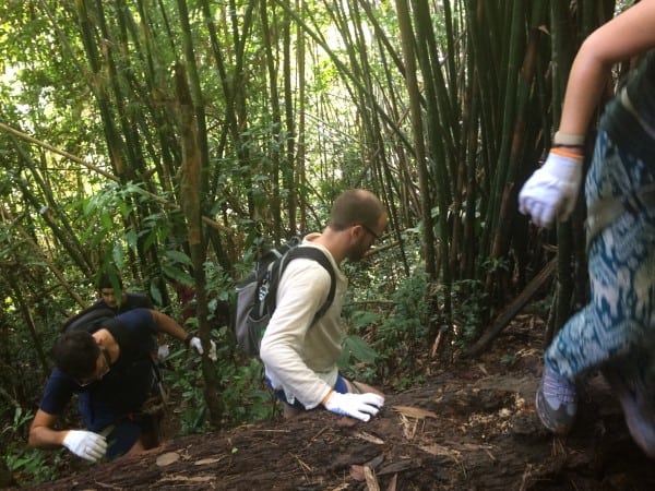 Gibbon Experience Hiking White Gloves