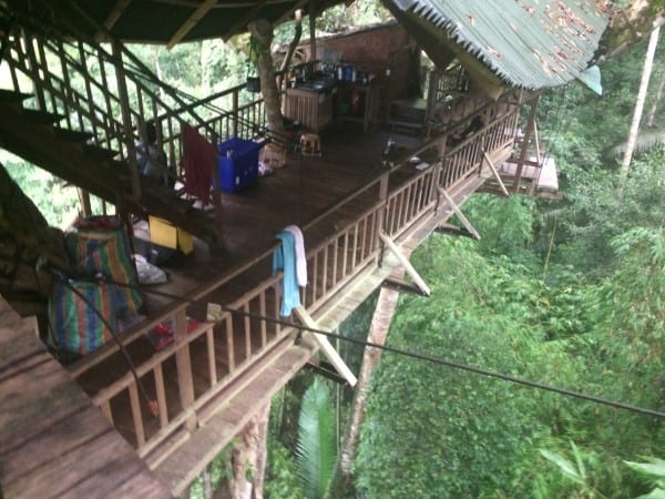 Gibbon Experience Tree House 1 from Top