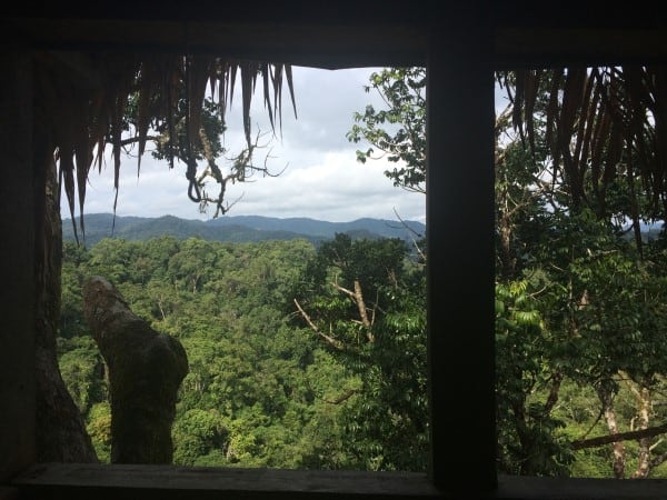 Gibbon Experience View from Treehouse