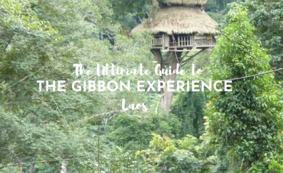 the ultimate guide to the gibbon experience