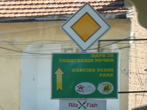 Dancing Bears Park SIGNS (2)