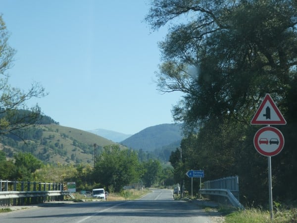 Dancing Bears Park SIGNS