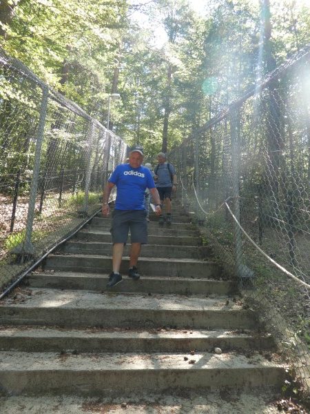 Dancing Bears Park Steps back up