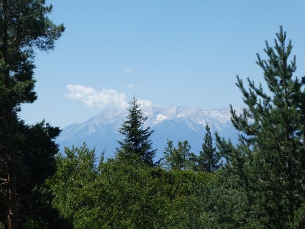 Dancing Bears Park Views