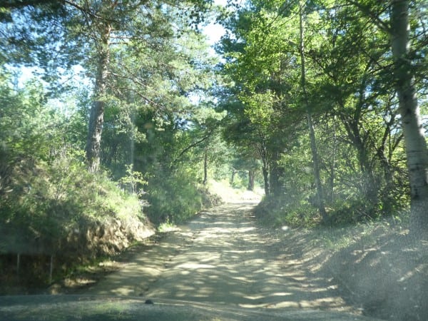 Dancing Bears Park road conditions