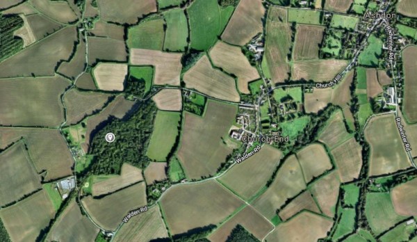 Shadwell_Wood_Bluebell_Woods_Saffron_Walden