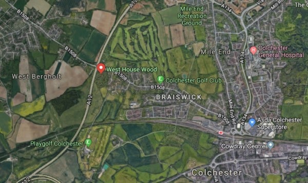 Westhouse_Wood_Bluebell_Wood_Colchester_Essex