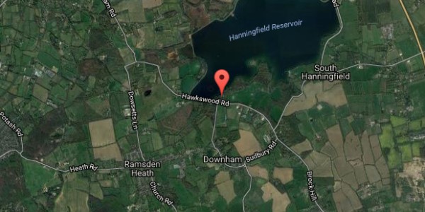 hanningfield_reservoir_bluebell_wood_essex