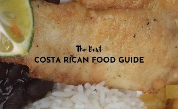 costa rican food guide