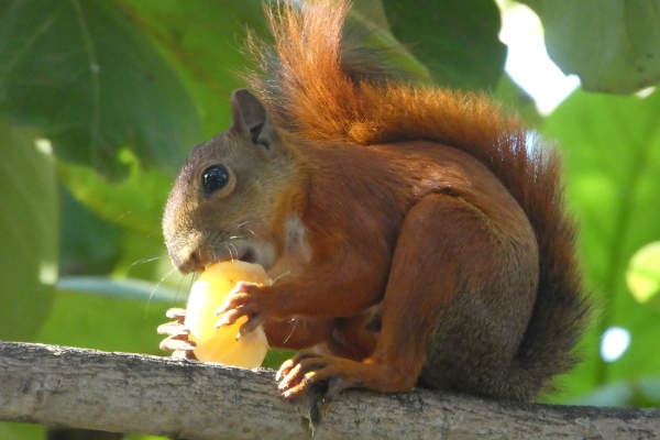 centenario park wildlife cartagena