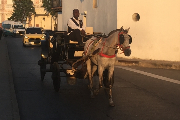 horse drawn carriage ride cartagena