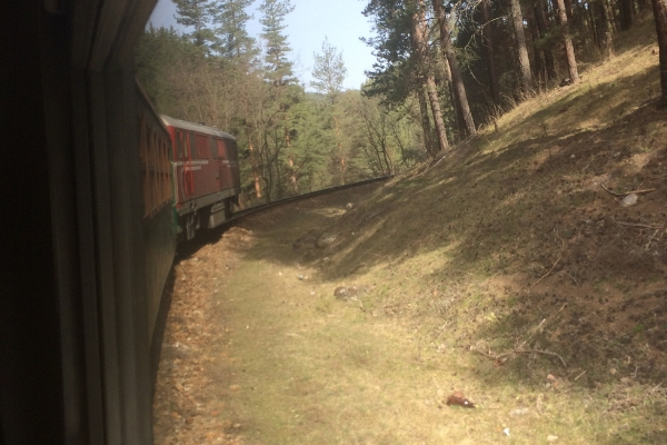 Narrow Gauge Bulgarian Train