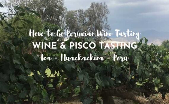 how to go peruvian wine tasting and pisco tasting ica huachachina